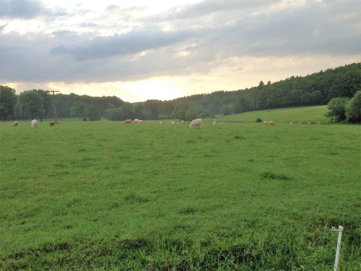 Ferienwohnung Baldus-Westerwald Mogendorf Exteriér fotografie